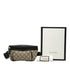 Eden Waist Bag GG Coated Canvas Medium