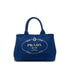 Canapa Convertible Tote Canvas Mini
