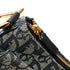 Vintage Double Saddle Bag Diorissimo Canvas