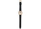 Timex x Noah Oval Moon Phase Watch Black/Gold