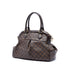 Trevi Handbag Damier GM