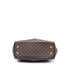 Trevi Handbag Damier GM