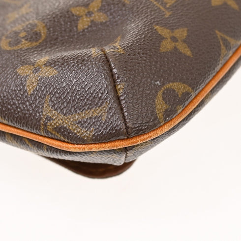 Musette Salsa Handbag Monogram Canvas PM
