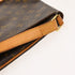 Musette Salsa Handbag Monogram Canvas PM