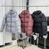The North Face Hooded Puffer Jacket