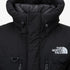 The North Face Summit Series Hooded Puffer Jacket