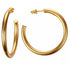 Sierra Hoop Earrings