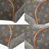 Ellipse Bag Monogram Canvas PM