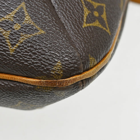 Musette Salsa Handbag Monogram Canvas GM