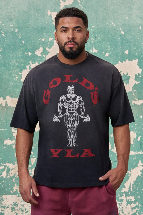 4213 - Gold's Iron Legacy Icon Tees