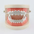 Brand New Grillz Got No Sleep