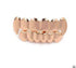 Errbody Wanna Be Ya Grillz