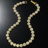 Oval Cut Micro Pave Tennis Link Travis Rapper Choker Chain