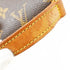 Musette Tango Handbag Monogram Canvas