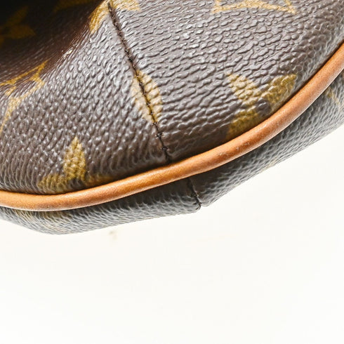 Musette Tango Handbag Monogram Canvas
