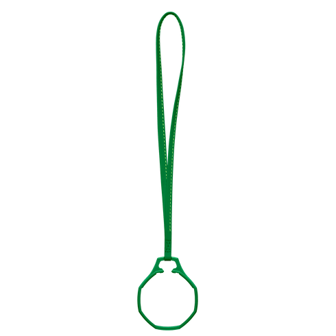 Swatch x Audemars Piguet Bioceramic Royal Pop Leather Lanyard Green Eight ACSSX03G100N