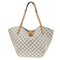 Salina Handbag Damier PM