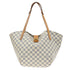 Salina Handbag Damier PM