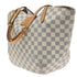 Salina Handbag Damier PM