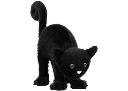 Jellycat Spookipaws Cat Plush