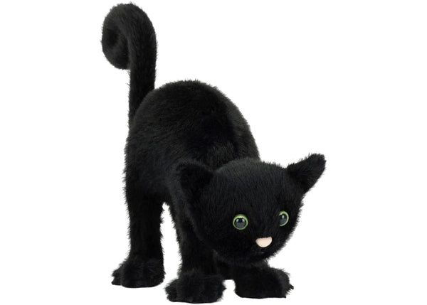 Jellycat Spookipaws Cat Plush