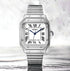 Seiko Mod Santos Classic Silver