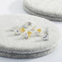 925 Sterling Silver 0.1-1 VVS Carat Heart Moissanite Stud Earrings