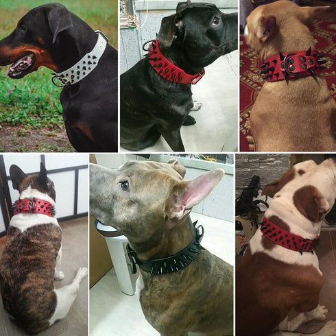 Adjustable Spiked Studded Dog Collar