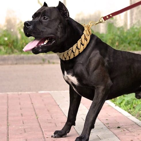 Big Dawg 32mm Smooth Cuban Link Dog Collar