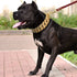 Big Dawg 32mm Smooth Cuban Link Dog Collar