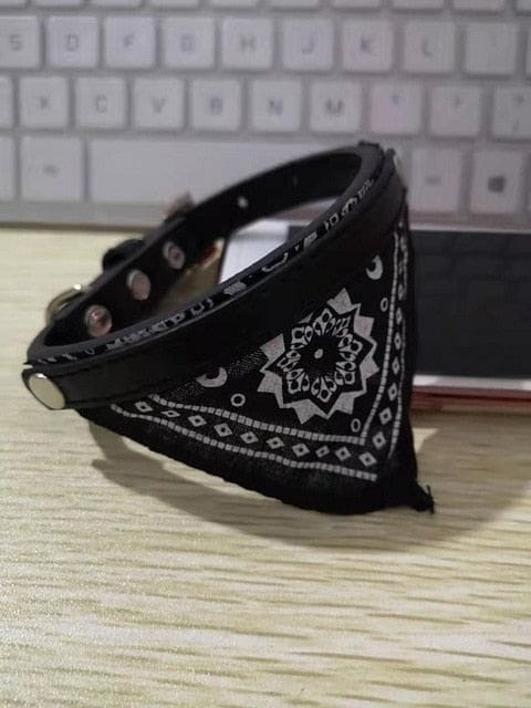 Custom Dog/Cat Collar Bandana