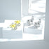 Classic 925 Sterling Silver 0.1-1 VVS Carat Moissanite Stud Earrings