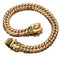 Cuban Link Gold Dog Chain Collar V2