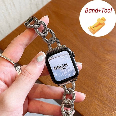 Frosty Chain 38mm 40mm Apple Watch Band and Case