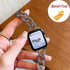 Frosty Chain 38mm 40mm Apple Watch Band and Case