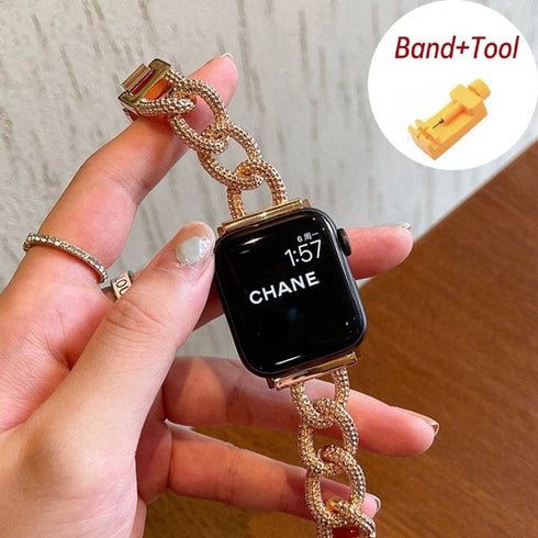 Frosty Chain 38mm 40mm Apple Watch Band and Case