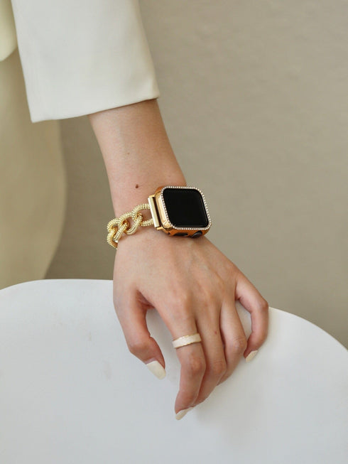 Frosty Chain 38mm 40mm Apple Watch Band and Case