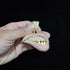 Fully Iced Out Pink Biting Lip Cuban Pendant Chain