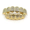 Gold/Silver Grillz