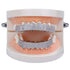 Gold/Platinum Full Bling Grillz