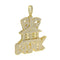 Iced Out Micropave "Big Bank" Pendant Chain