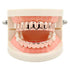 Gold/Silver/Black/Rosegold Grillz