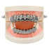 Gold/Silver/Black/Rosegold Grillz