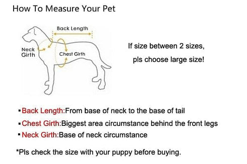 Gold/Silver Cuban Link Dog Rope Leash