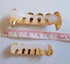 Gold/Silver Grillz