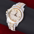 Iced Out Blizzard Baguette Watch