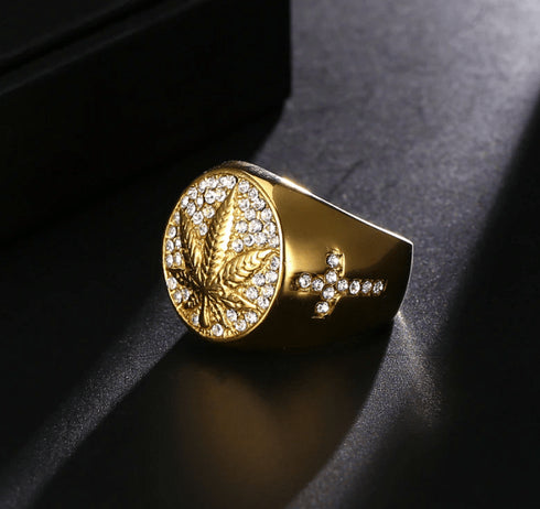 Iced Out Gold MJ Ring