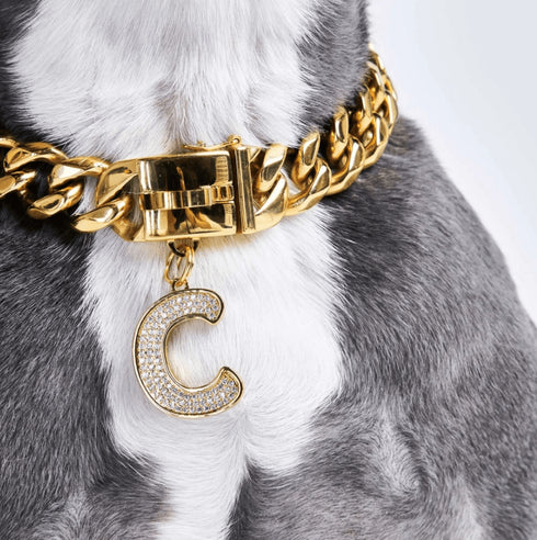 Personalized Initial Dog Pendant