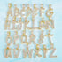 Initial Iced out Baguette Letter Pendant + FREE Chain