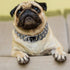 Medium/Large Gold Cuban Link Dog Collar